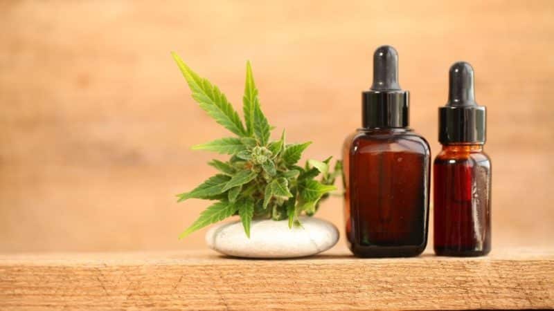 כל היתרונות בשמן CBD